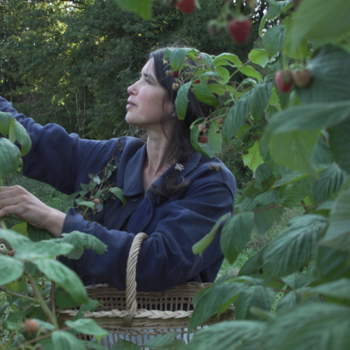 Copie de camille framboises