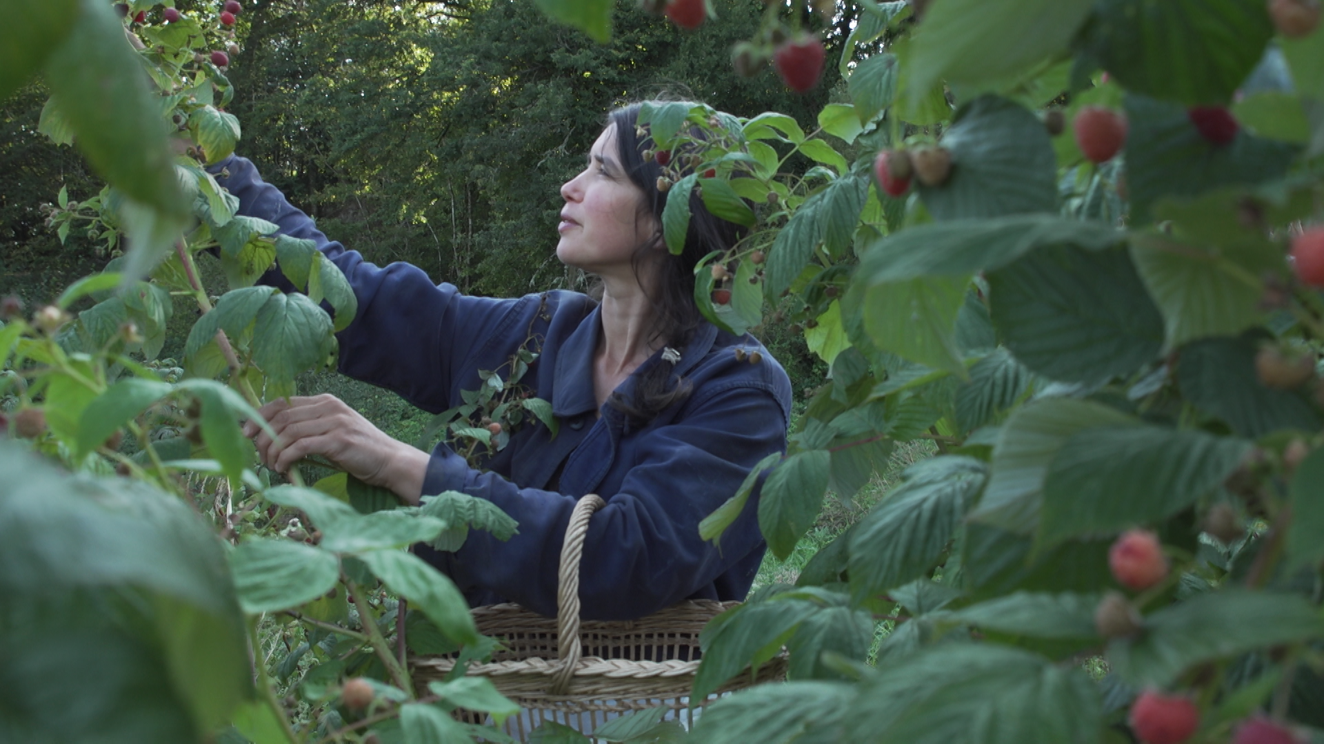 La terre du milieu, Juliette Guignard La terre du milieu, Juliette Guignard