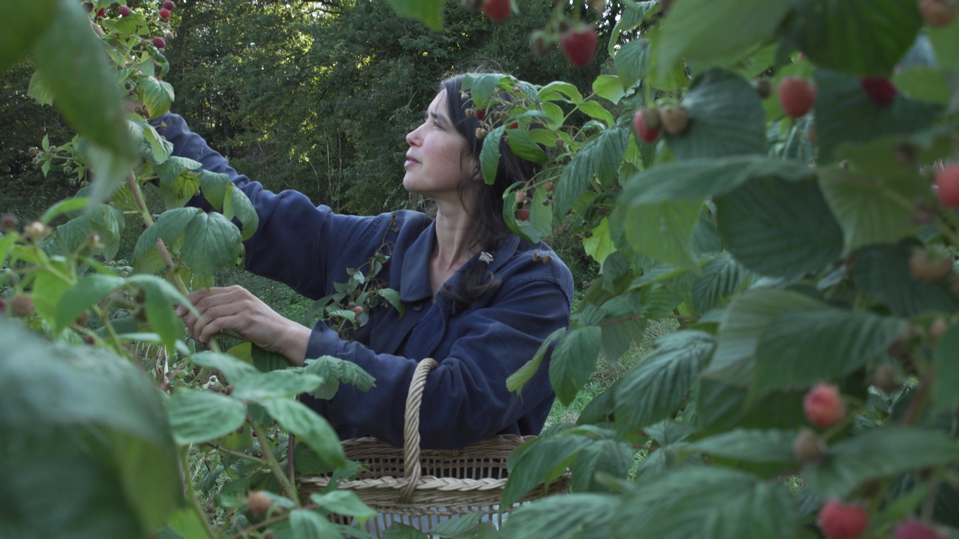 La terre du milieu, Juliette Guignard