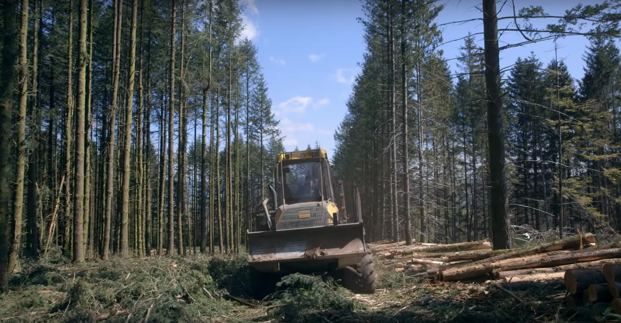 Le temps des forêts, François-Xavier Drouet