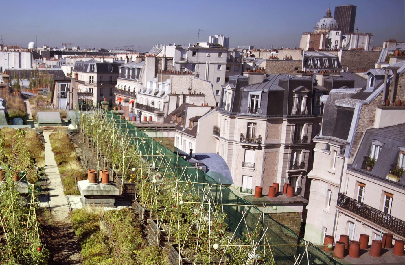 Des cultures et des villes, Jean-Hugues Berrou