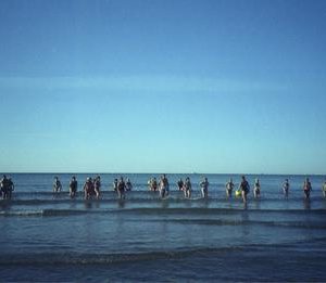 la-plage-des-shadoks