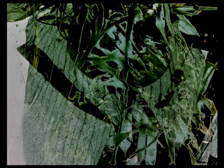 The garden of early deligths de Stan Brakhage