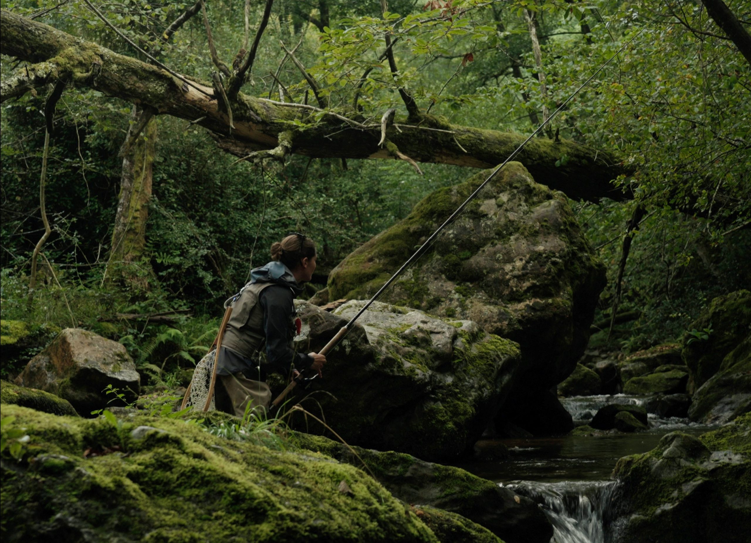 La rivière de Dominique Marchais La rivière de Dominique Marchais