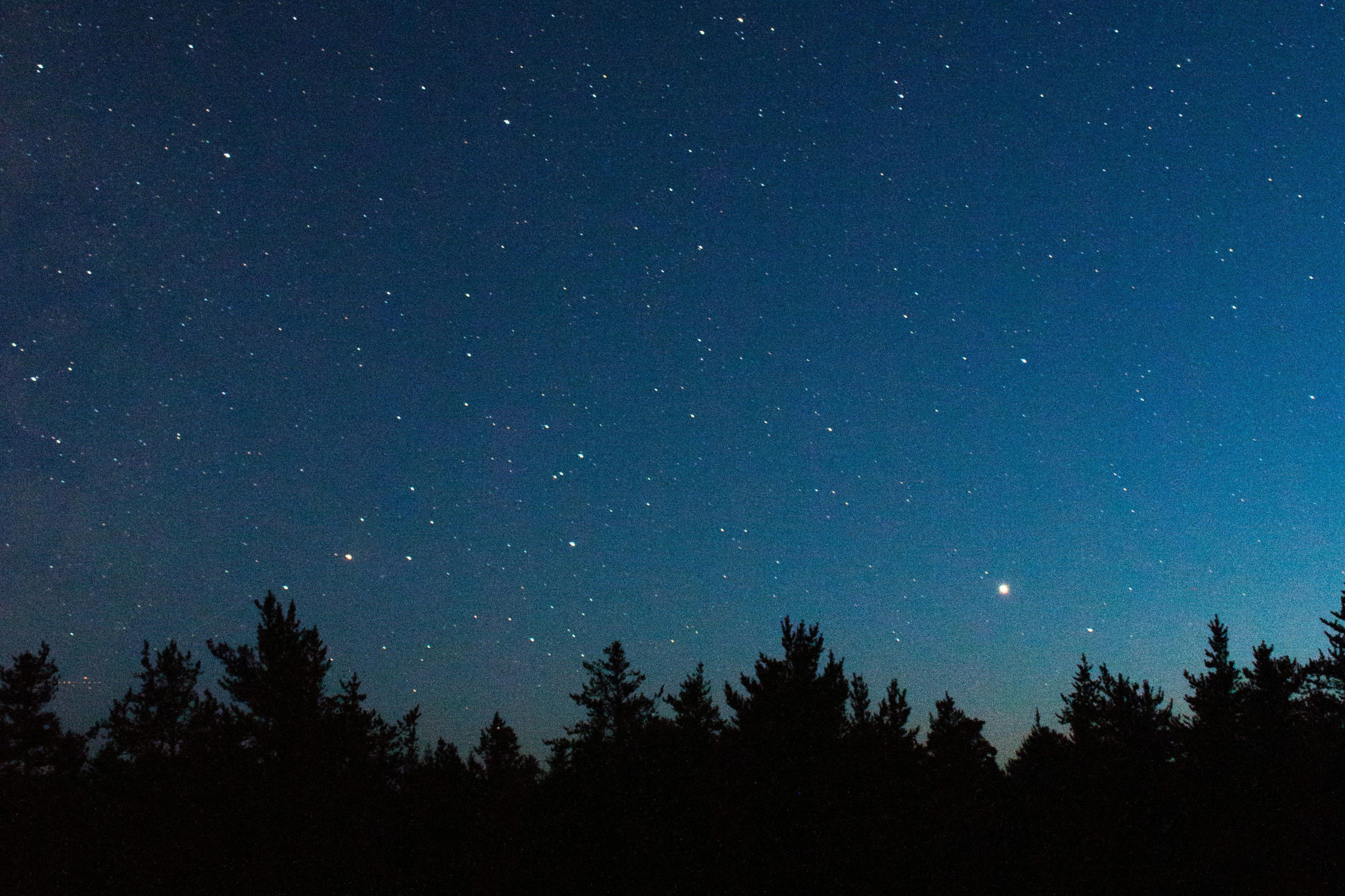 Nuit de la radio sous les étoiles Nuit de la radio sous les étoiles