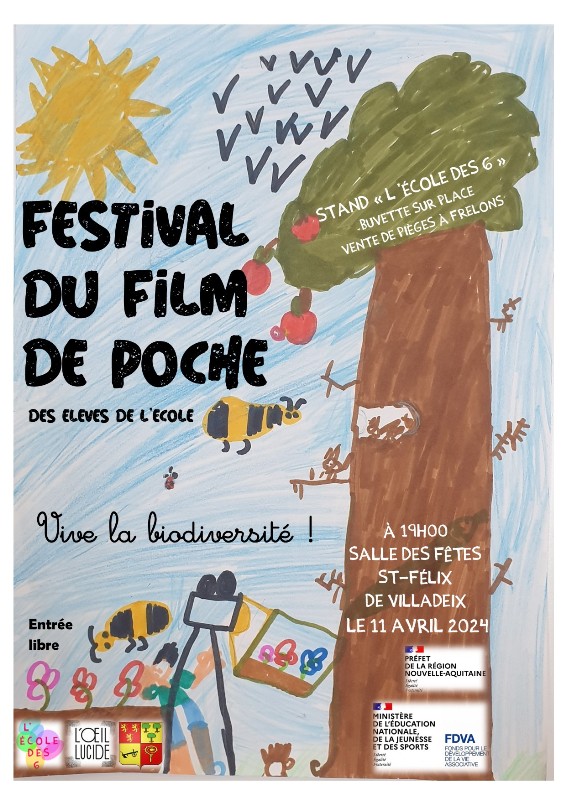 Atelier "Pocket films" / Festival du film de poche - École de St Félix de Villadeix