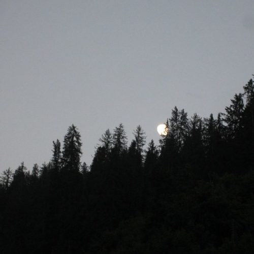 Séance d'écoute - LES LOUPS de Henri Morelle