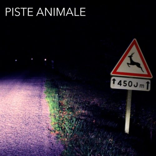 Séance d'écoute sonore - PISTE ANIMALE de Péroline Barbet