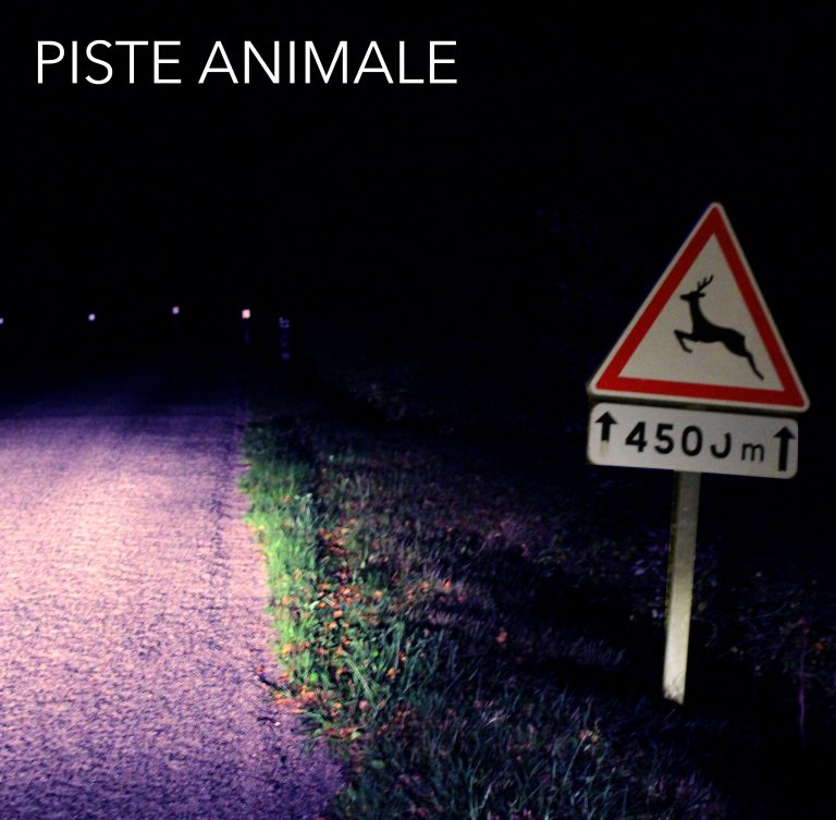 Séance d'écoute sonore - PISTE ANIMALE de Péroline Barbet