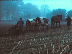 SOUVENT L'HIVER SE MUTINE de BENOIT PERRAUD