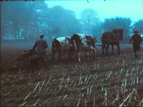 SOUVENT L’HIVER SE MUTINE de BENOIT PERRAUD