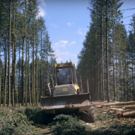 LE TEMPS DES FORÊTS de François-Xavier Drouet1